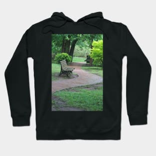 ibs park bench Hoodie